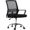Office mesh chair with lifting armrests